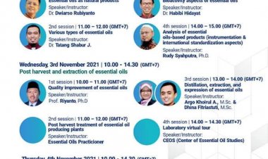 November Virtual Summer School "Validation Method in Spectrometry and Chromatography"