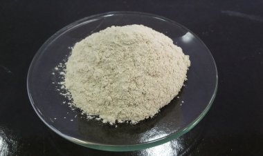Yuk, Mengenal Zeolite, Sang Material Anorganik Multifungsi dalam Bidang Pertanian