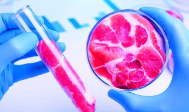 Daging Buatan dari Laboratorium, Pengganti Daging Ternak, Solusi Kebutuhan Pangan Masa Depan