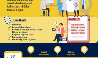 Program Visiting Researcher