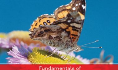 [Download] Organic Chemistry