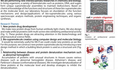 [20 Maret 2023.] Beasiswa S3 di Lab Supramolecular Science Nara Institute of Science and Technology (NAIST), Jepang
