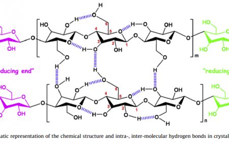Nanoselulosa: Keajaiban Material Ramah Lingkungan dari Serat Selulosa