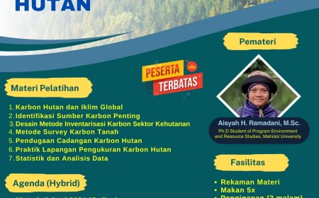 [6, 7, & 9 Juni 2024] PELATIHAN PERHITUNGAN STOK KARBON HUTAN