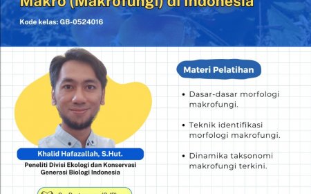 [25-26 Mei 2024]  Pelatihan Metode Identifikasi Morfologi Jamur Makro (Makrofungi) di Indonesia