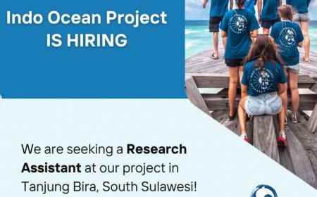 [Deadline Regist 15 July 2024] Program Coordinator &  Research Assistant