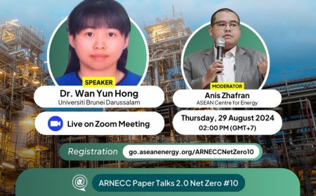 [29 August 2024] Webinar A techno-economic review on carbon capture, utilisation and storage systems for achieving a net-zero CO2 emissions future