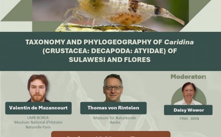 [30 September 2024]  Webinar Taxonomy and phylogeography of Caridina (Crustacea: Decapoda: Atyidae) of Sulawesi and Flores