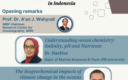 [14 November 2024] Webinar Mainstreaming Marine Biogeochemistry Research in Indonesia
