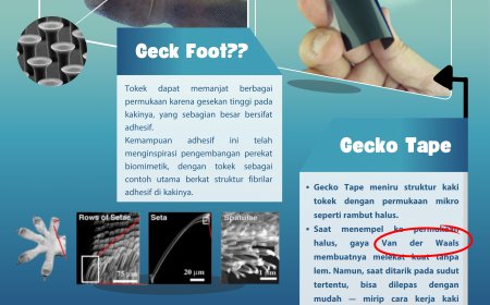 Teknologi Perekat Terinspirasi Tokek: Kecil Tapi Kuat, Cerdas Tapi Sederhana